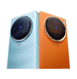 vivo X100