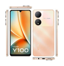 vivo Y100
