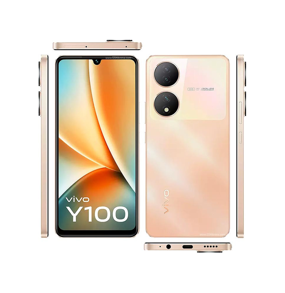 vivo Y100