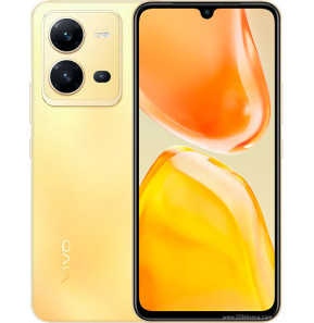 vivo X80 Lite