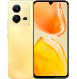 vivo V25