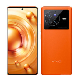 vivo X80