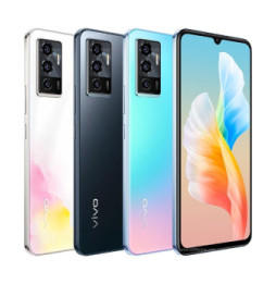 vivo S10e
