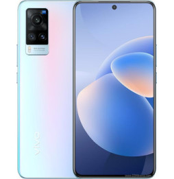 vivo X60