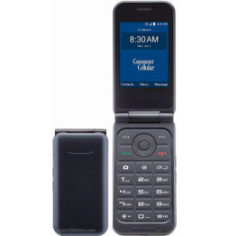 ZTE Link II