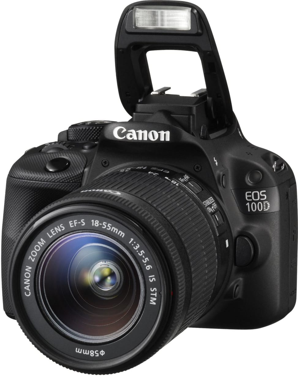 Reflex Canon EOS 100D + Objectif + Sac à dos et Trépieds Vanguard