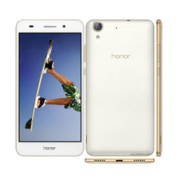 Honor Holly 3