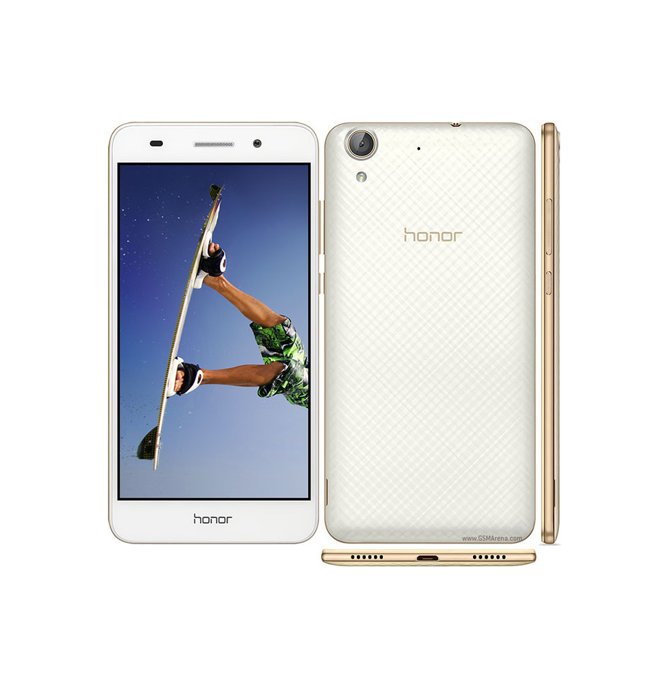 Honor Holly 3