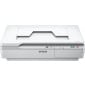 Scanner de documents A4 à plat Epson WorkForce DS-5500 (B11B205131)