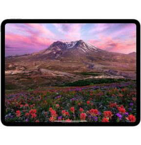 Apple iPad Pro 11 (2024)