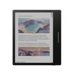 Boox Go Color 7" Noir