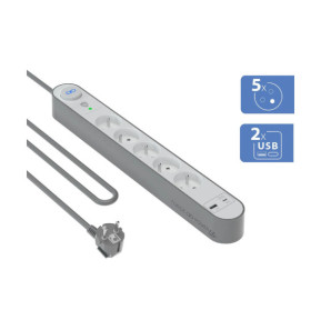 Force Power Rallonge Parafoudre 5 Prises Type-E 800 Joules avec Ports USB-A et USB-C 1,5m Argent