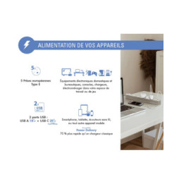 Force Power Rallonge Parafoudre 5 Prises Type-E 800 Joules avec Ports USB-A et USB-C 1,5m Argent