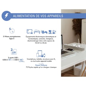 Force Power Rallonge Parafoudre 5 Prises Type-E 800 Joules avec Ports USB-A et USB-C 1,5m Argent — image 3