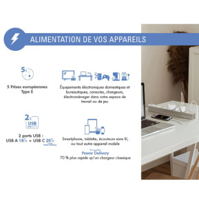 Force Power Rallonge Parafoudre 5 Prises Type-E 800 Joules avec Ports USB-A et USB-C 1,5m Argent