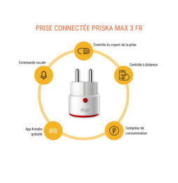 Konyks Priska Max 3 FR