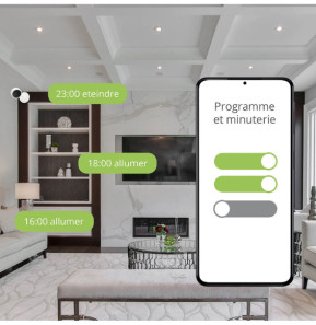 METRONIC - Prise intelligente connectée Wi-Fi 16A (pack de 2)