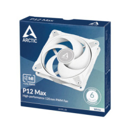 Arctic P12 Max (Blanc)