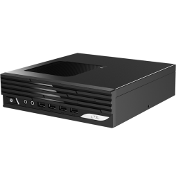 Mini PC de bureau MSI Pro DP21 (9S6-B0A421-862)