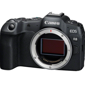 Appareil photo hybride Canon EOS R8 + batterie de rechange