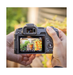 Appareil photo hybride Canon EOS R8 + batterie de rechange