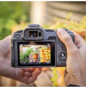 Appareil photo hybride Canon EOS R8 + batterie de rechange