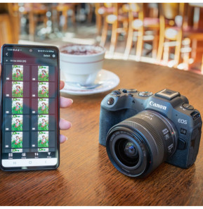 Appareil photo hybride Canon EOS R8 + batterie de rechange