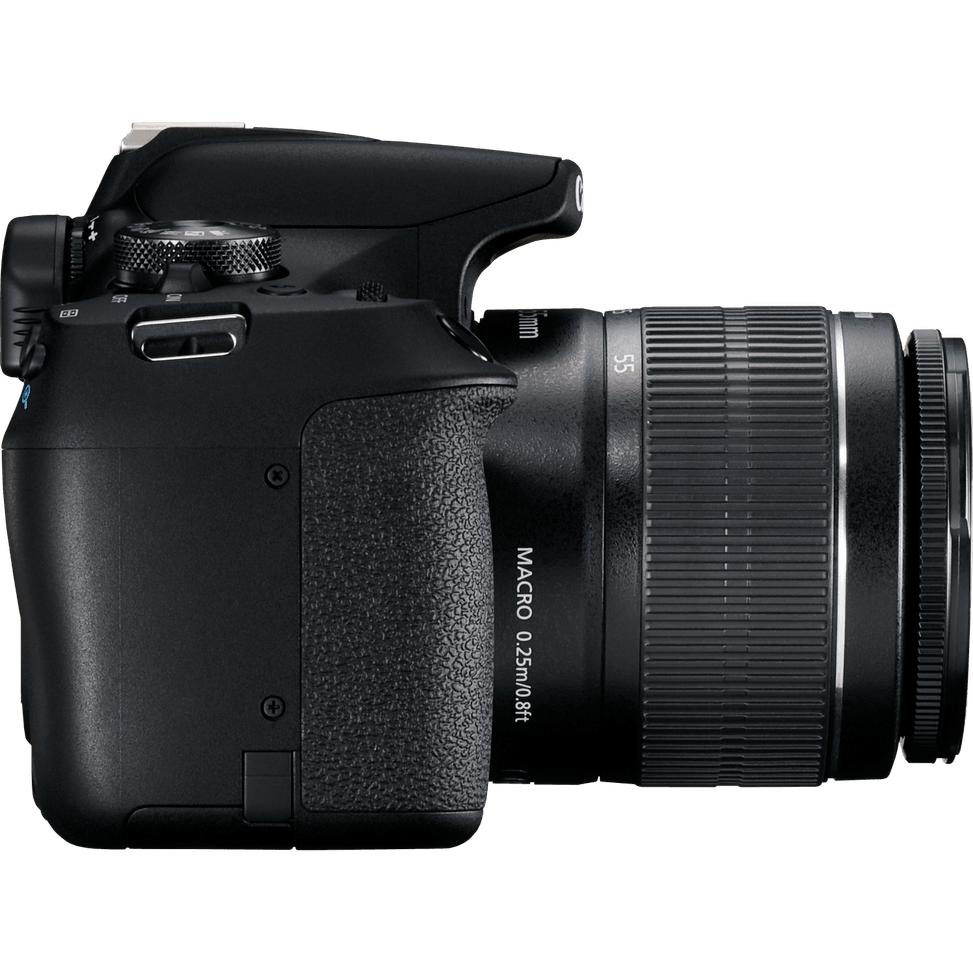 Appareil photo Canon EOS 2000D + objectif 18-55 IS II + batterie LP-E10 — image 3
