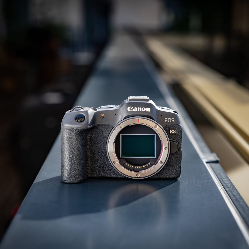 Appareil photo hybride Canon EOS R8, noir + objectif RF 85mm Macro IS STM + objectif RF 24-50mm IS STM — image 14
