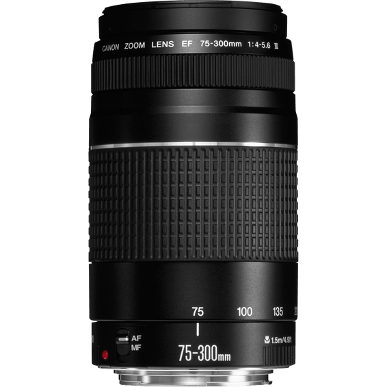 Objectif Canon EF 75-300mm f/4-5.6 III