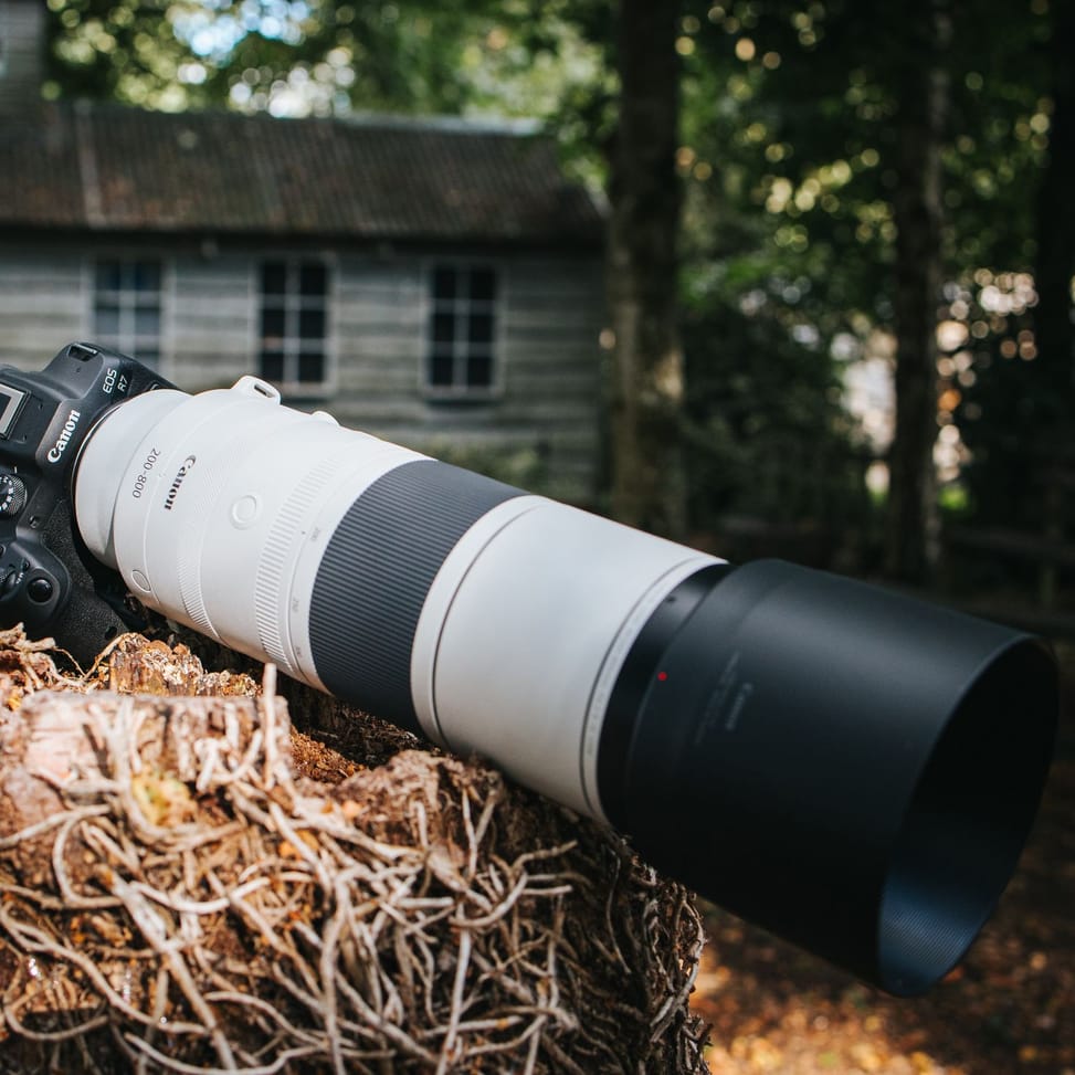 Objectif Canon RF 200-800mm F6.3-9 IS USM — image 10