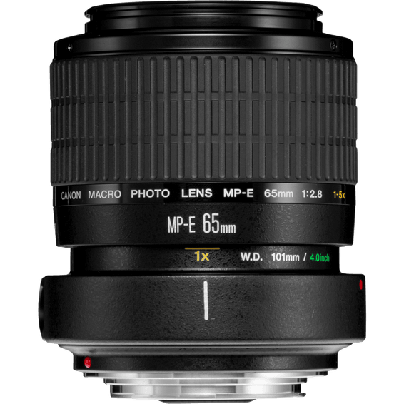 Objectif Canon MP-E 65mm f/2.8 1-5x Macro Photo