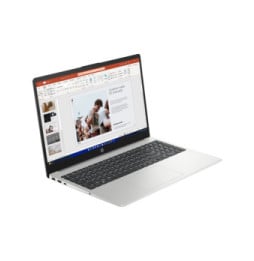 PC Portable Professionnel HP 255 G10 15,6"