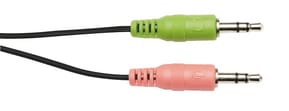 Micro Casque stéréo Trust PRIMO avec micro flexible - Jack 3.5 — image 6