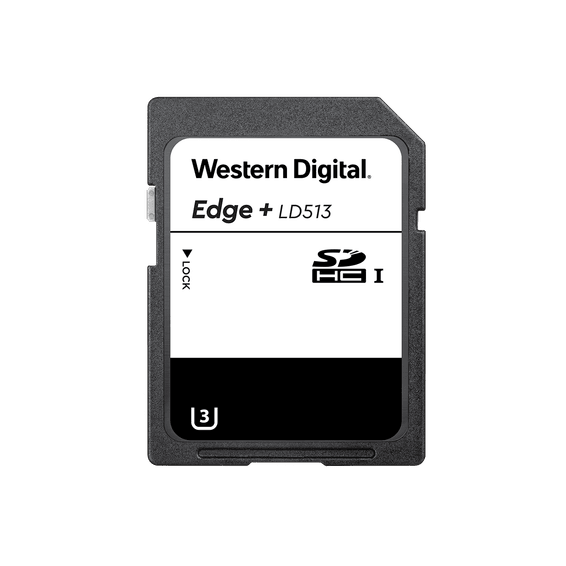 Western Digital Carte SD Edge+ pour la maison connectée - Endurance : Extrême - 4 Go