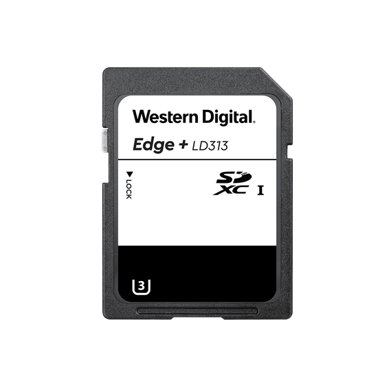 Western Digital Carte SD Edge+ pour la maison connectée - Endurance : Élevée - 64 Go