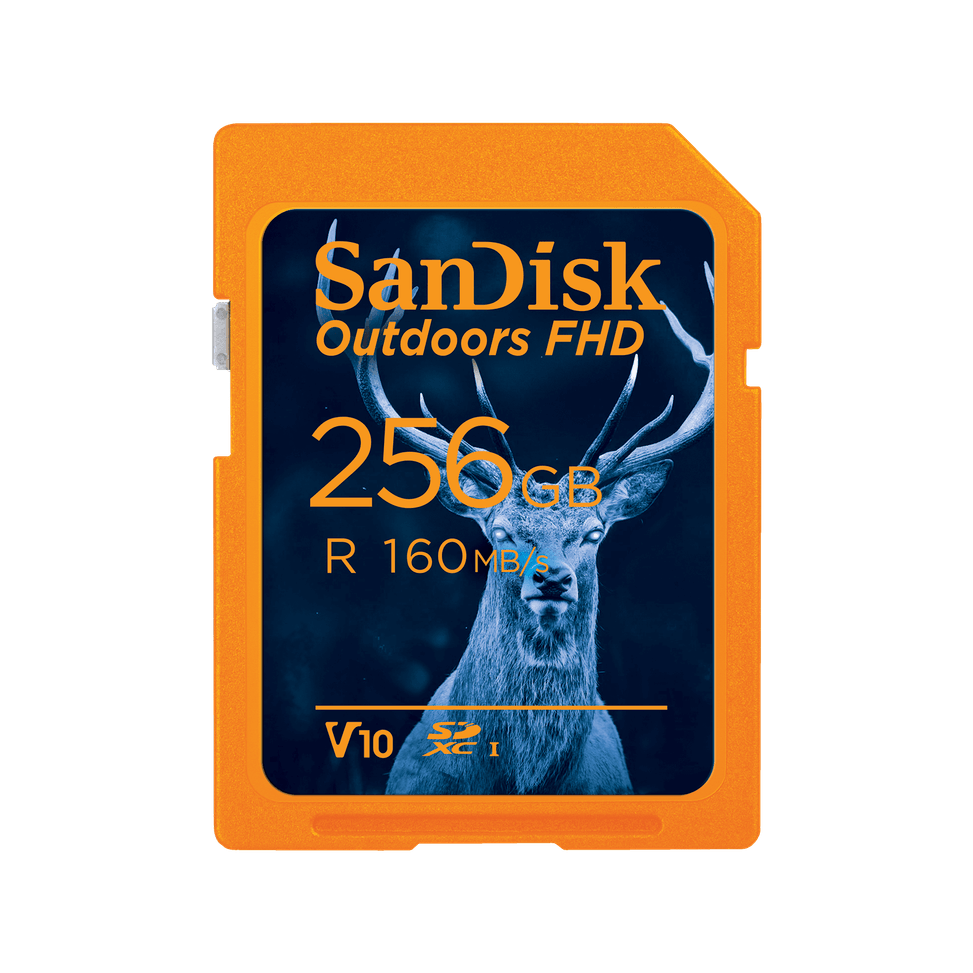Carte UHS-I SanDisk Outdoors FHD - Pack de un - 256 Go — image 1