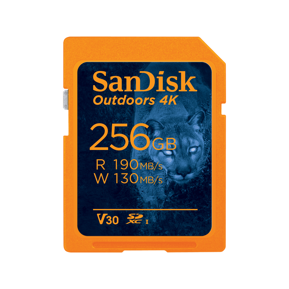 Carte SD UHS-I SanDisk Outdoors 4K - Pack de un - 256 Go — image 1