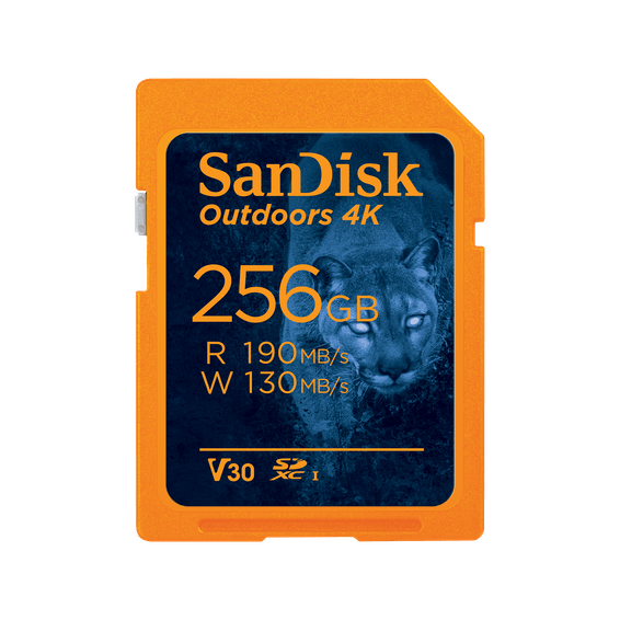 Carte SD UHS-I SanDisk Outdoors 4K - Pack de un - 256 Go
