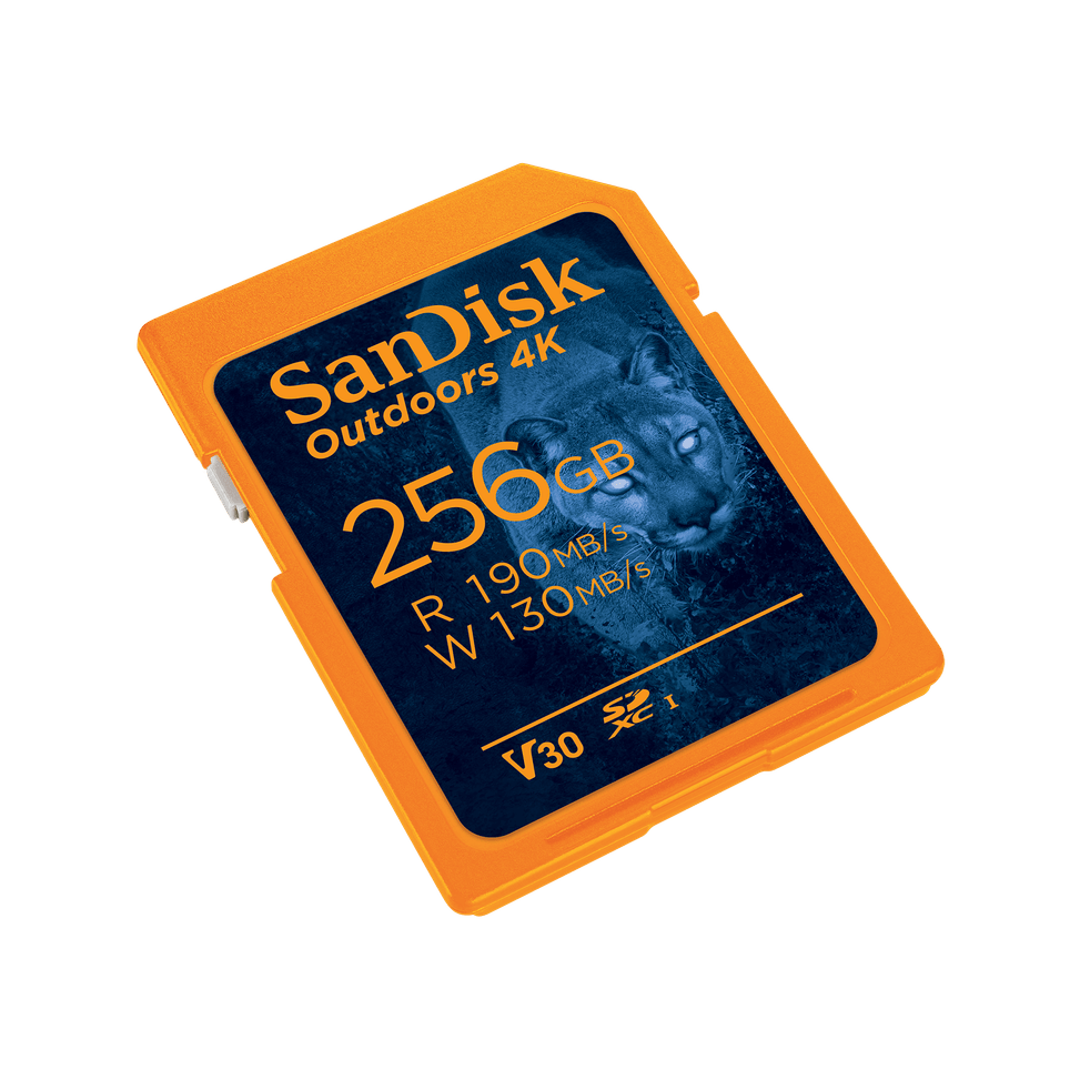 Carte SD UHS-I SanDisk Outdoors 4K - Pack de un - 256 Go — image 2