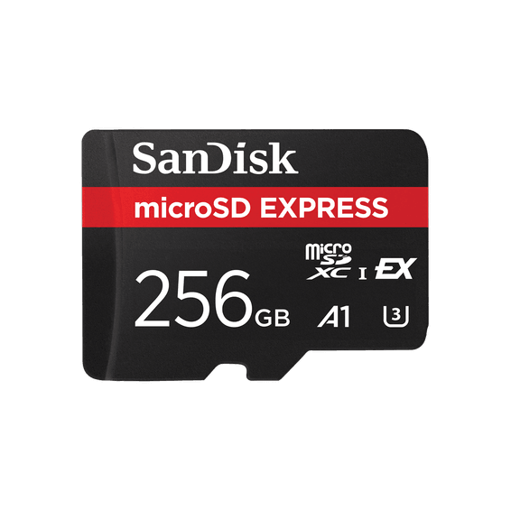 Carte microSD SanDisk Express - 256 Go