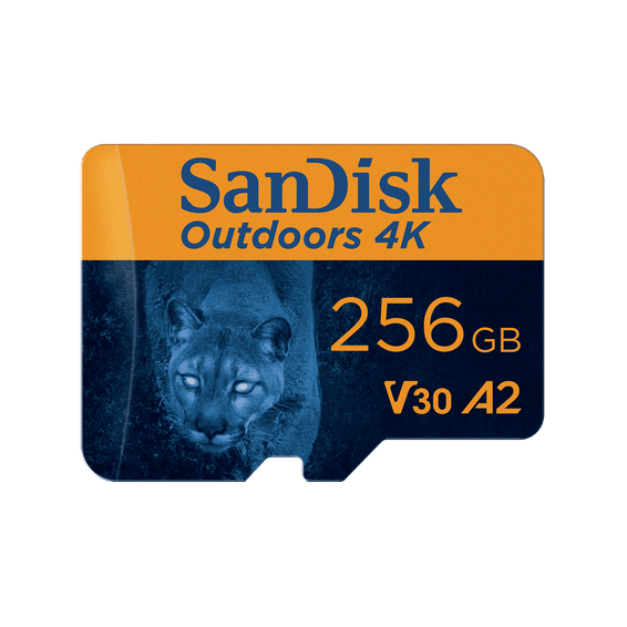 Carte microSDXC UHS-I SanDisk Outdoors 4K avec adaptateur SD - Pack de un - 256 Go