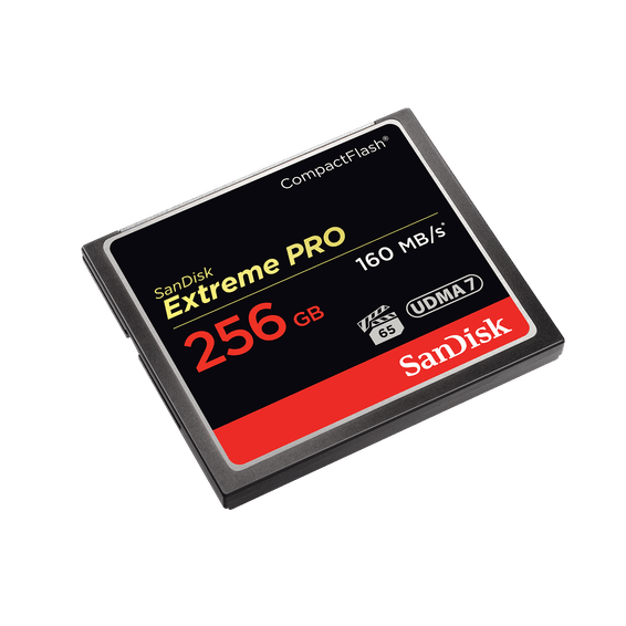 SanDisk Carte mémoire Extreme PRO CompactFlash - 256 Go