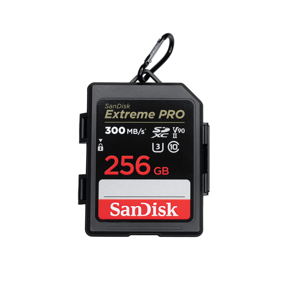 SanDisk Memory Card Case — image 1