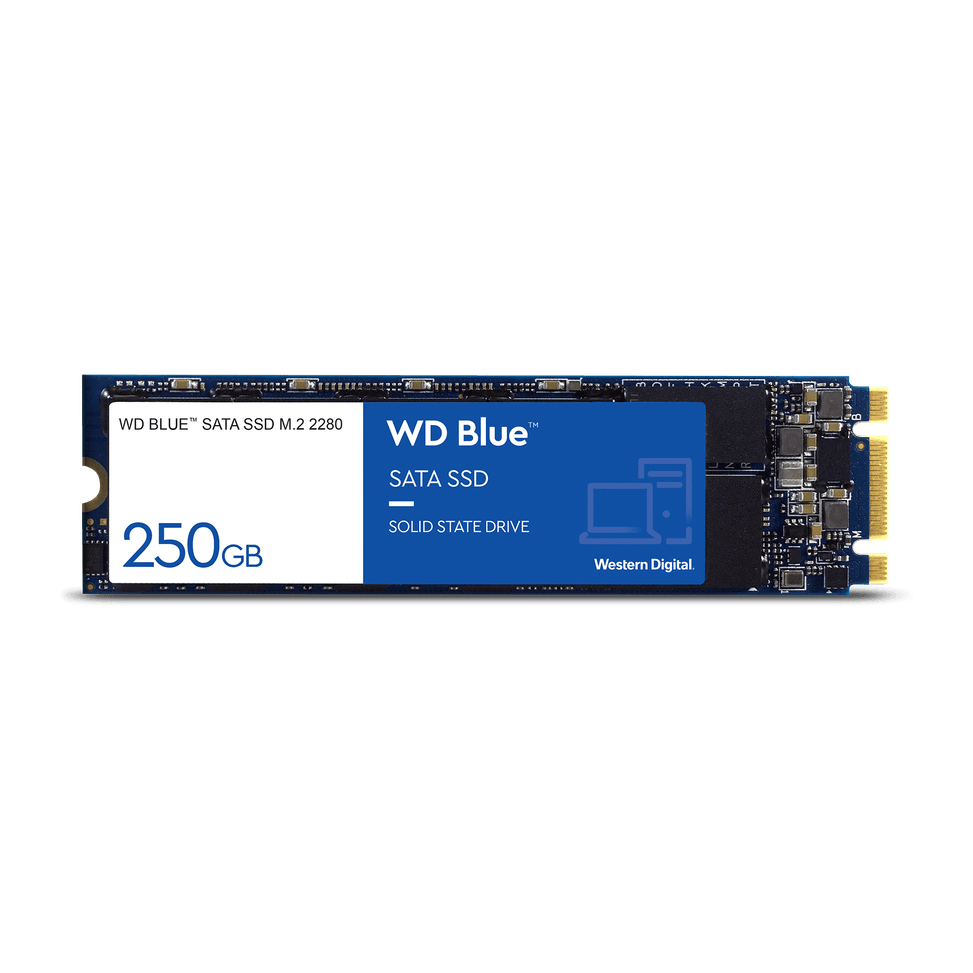 Western Digital Disque SSD SATA WD Blue™ M.2 2280 - 250 Go — image 1