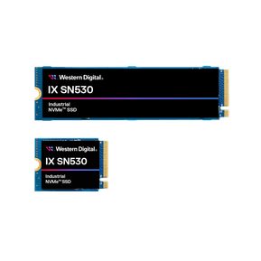 Western Digital Disque SSD NVMe IX SN530 - 85 Go - Format : M.2 2230