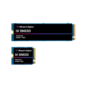 Western Digital Disque SSD NVMe IX SN530 - 85 Go - Format : M.2 2230