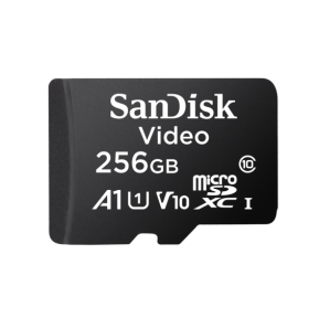 Carte microSD SanDisk Video VD QD131 - 256 Go