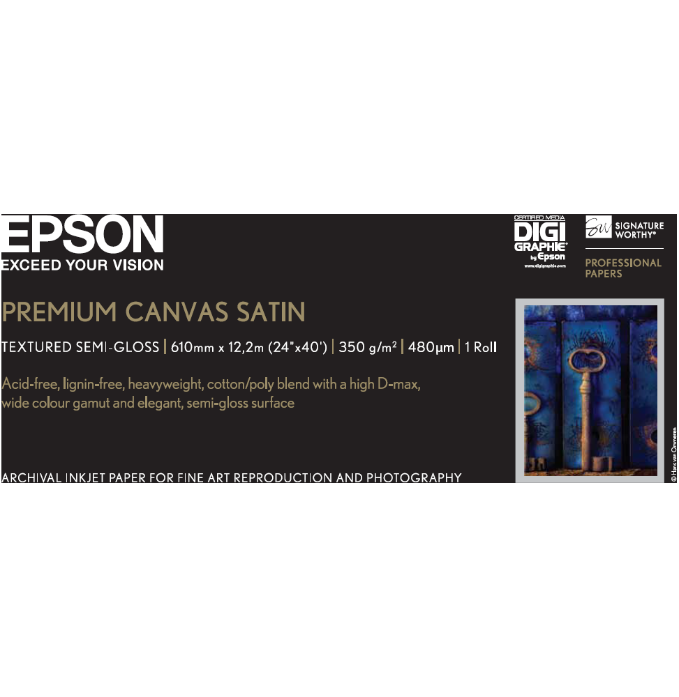 Epson Toile Premium Canvas Satin 350g 24" (0,610x12,2m) – Papier en rouleau artistique (C13S041847)