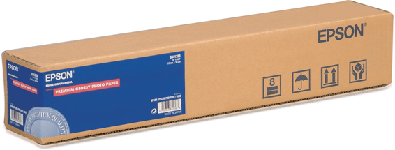 Epson Premium Semi-Mat (260) – Papier photo semi-mat pour impressions de qualité (C13S042150)